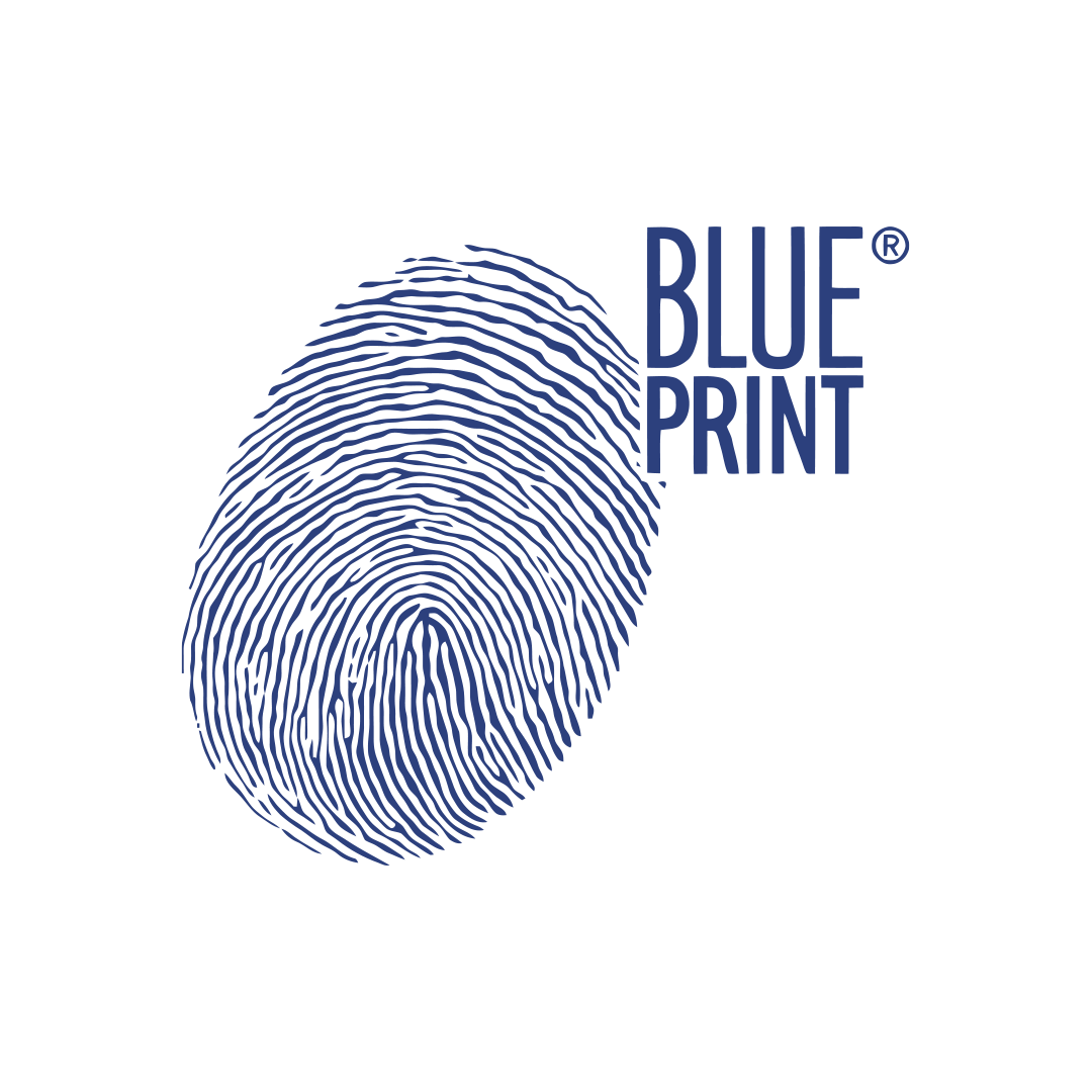 BLUE-PRİNT Yetkili Bayi - SmH Otomotiv